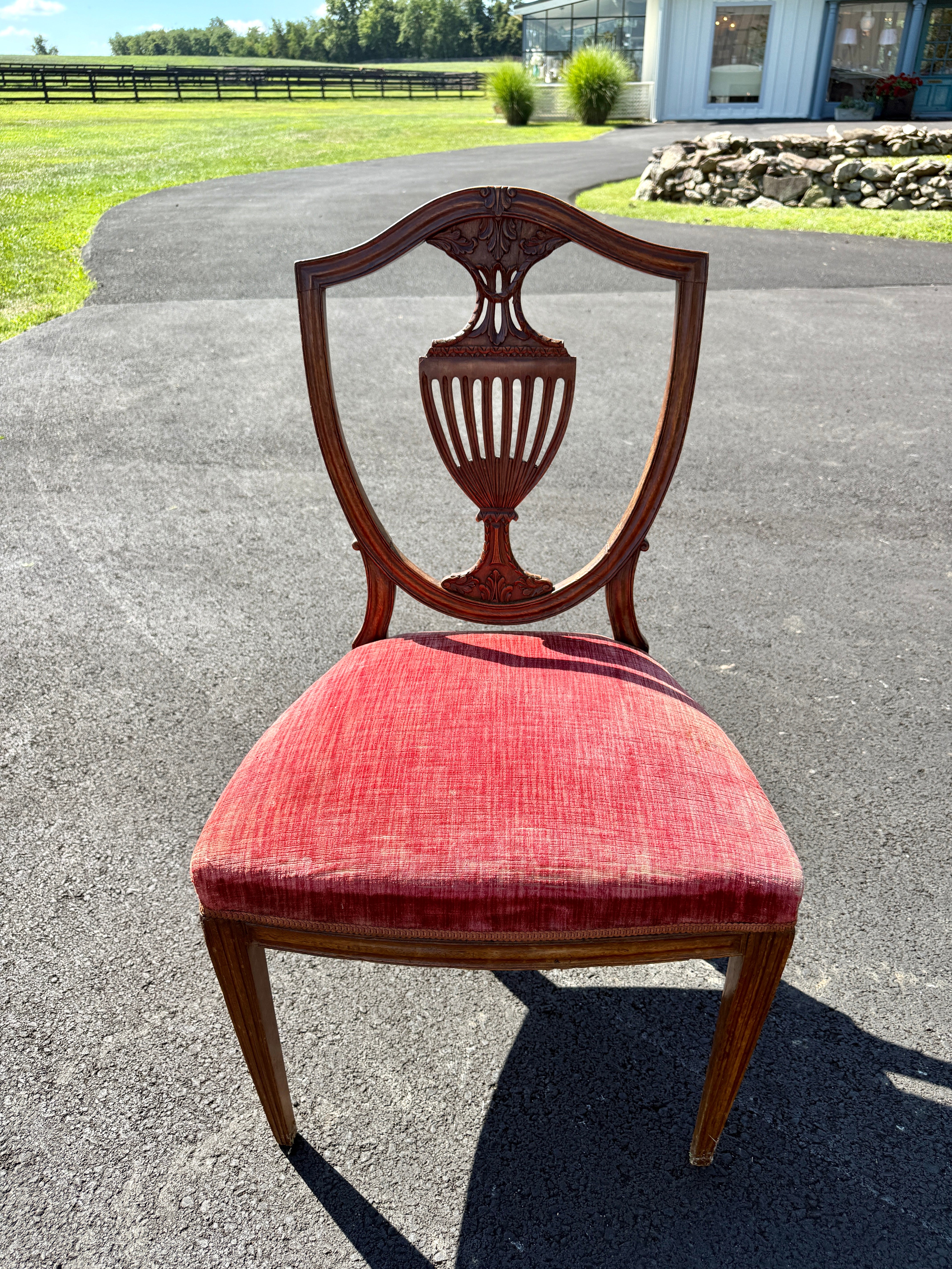 Antique English Dining Chairs Hepplewhite Style