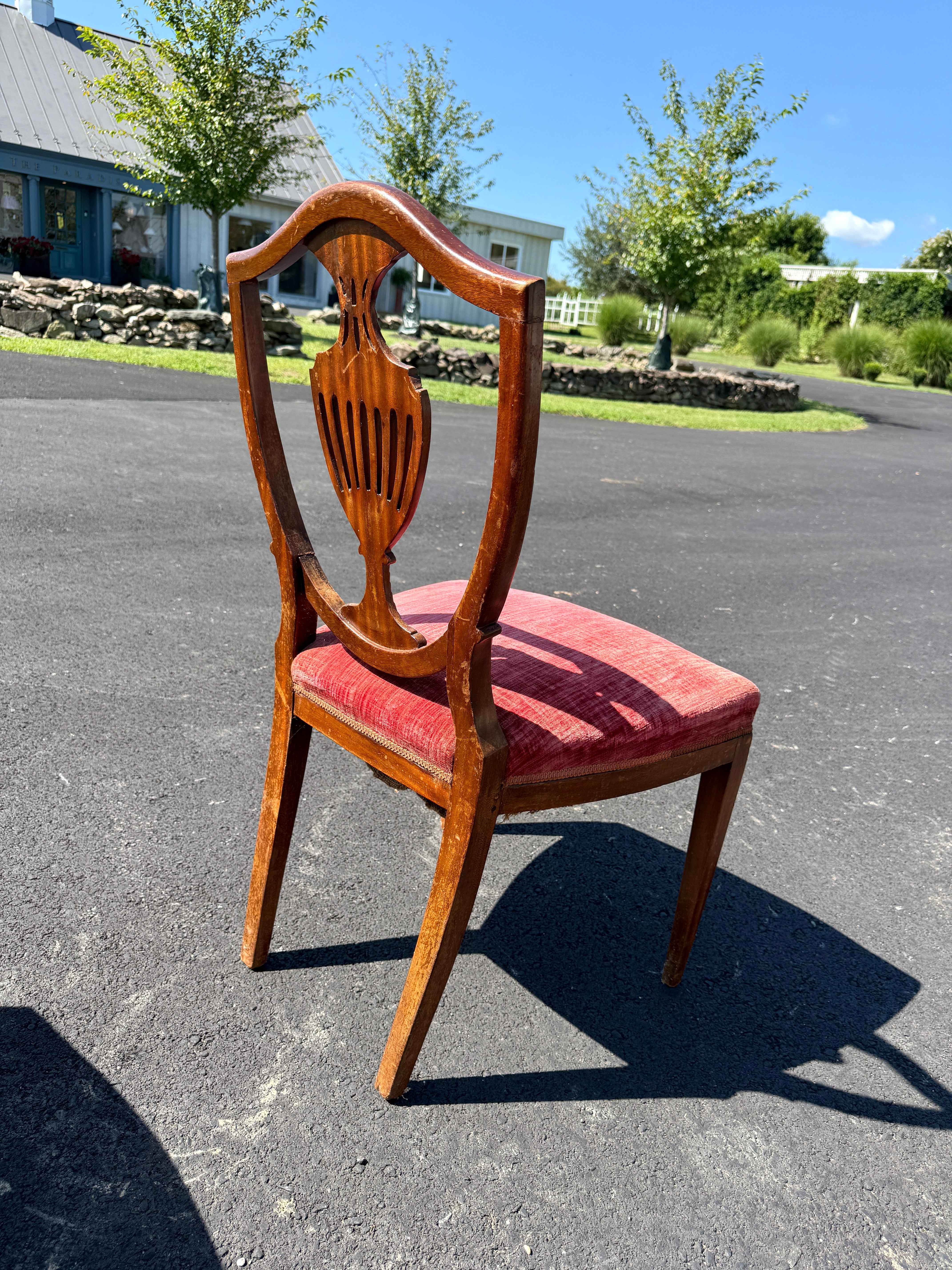 Antique English Dining Chairs Hepplewhite Style