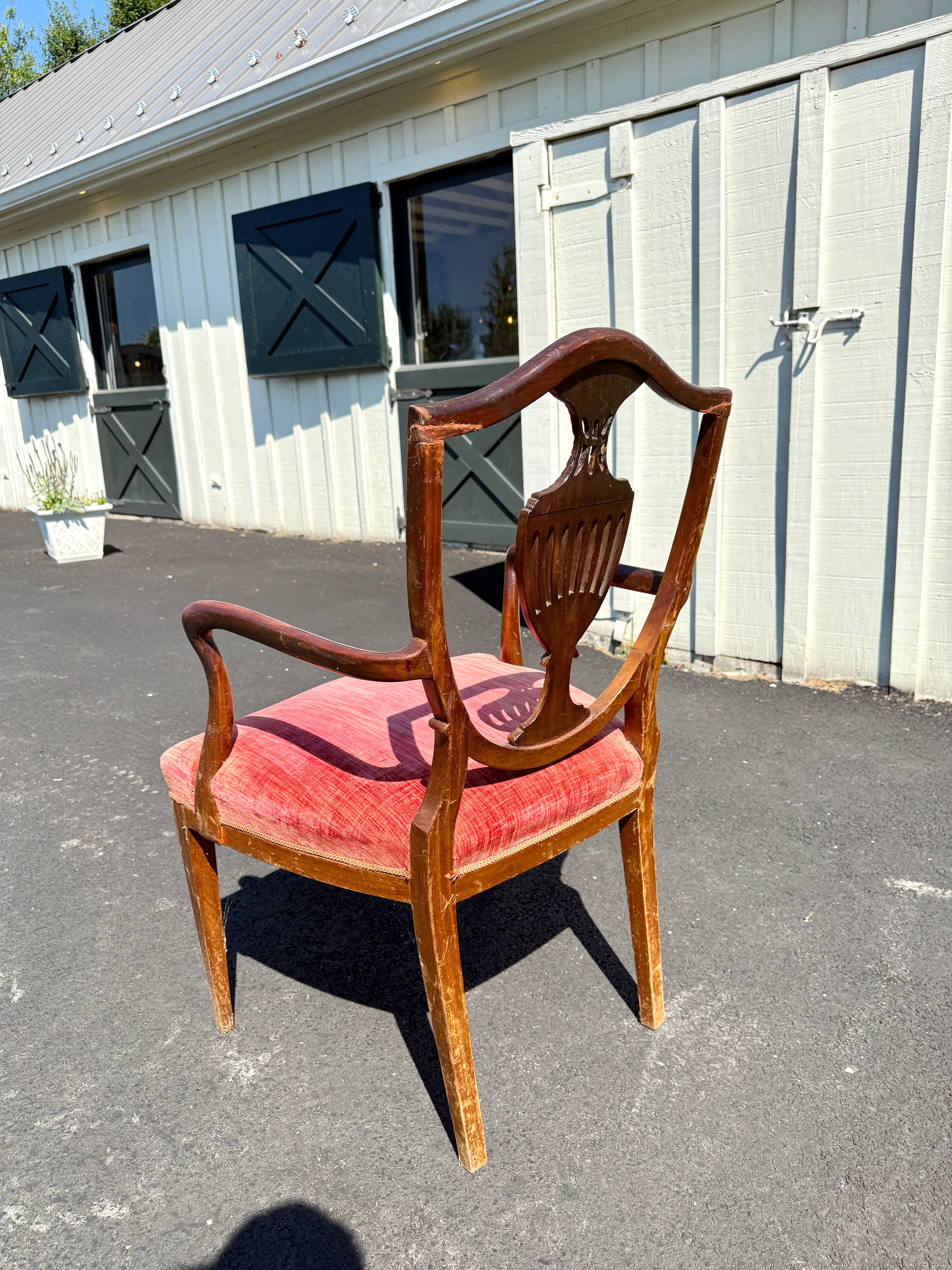 Antique English Dining Chairs Hepplewhite Style