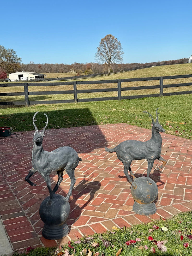 Pair of English Vintage Majestic Stags - Indoor or Outdoor