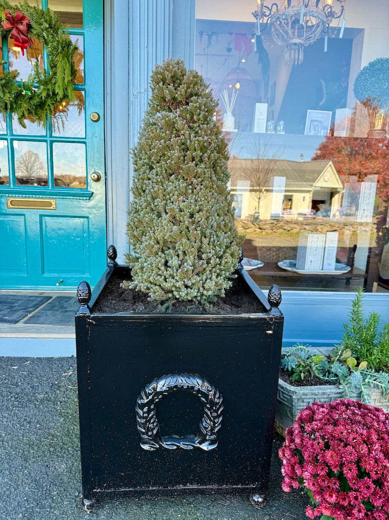 Antique French Pair of Planters with Black High-Gloss Paint