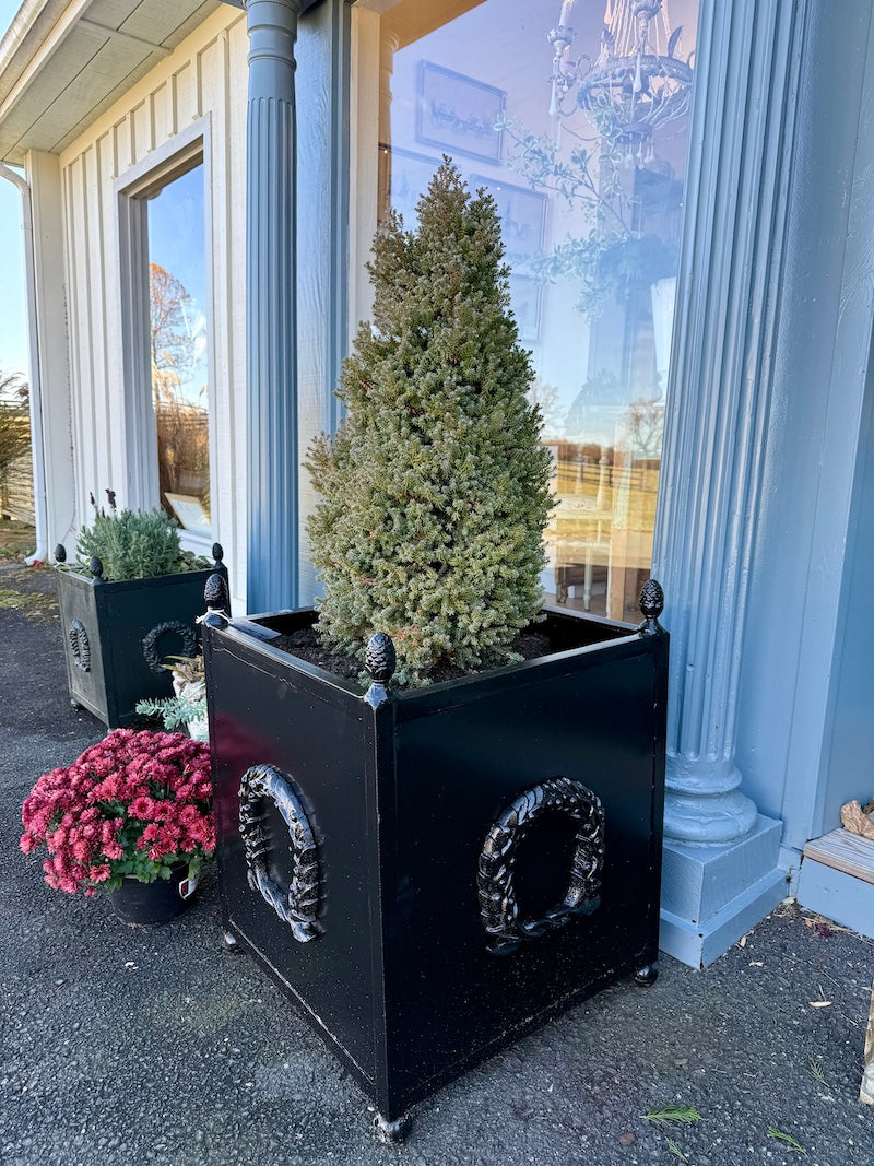 Antique French Pair of Planters with Black High-Gloss Paint
