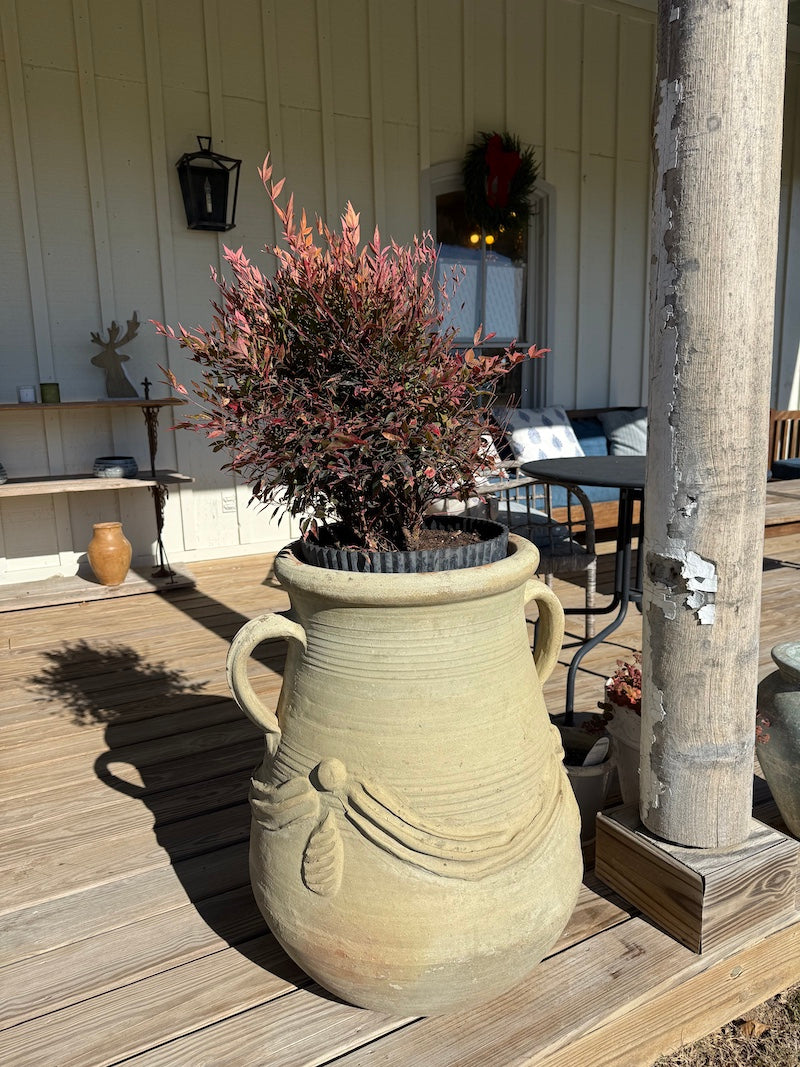 Classic French Terracotta Planters from Provence