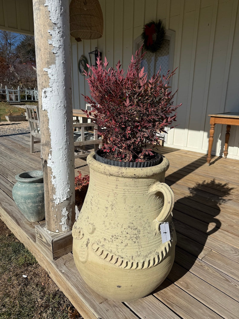 Classic French Terracotta Planters from Provence