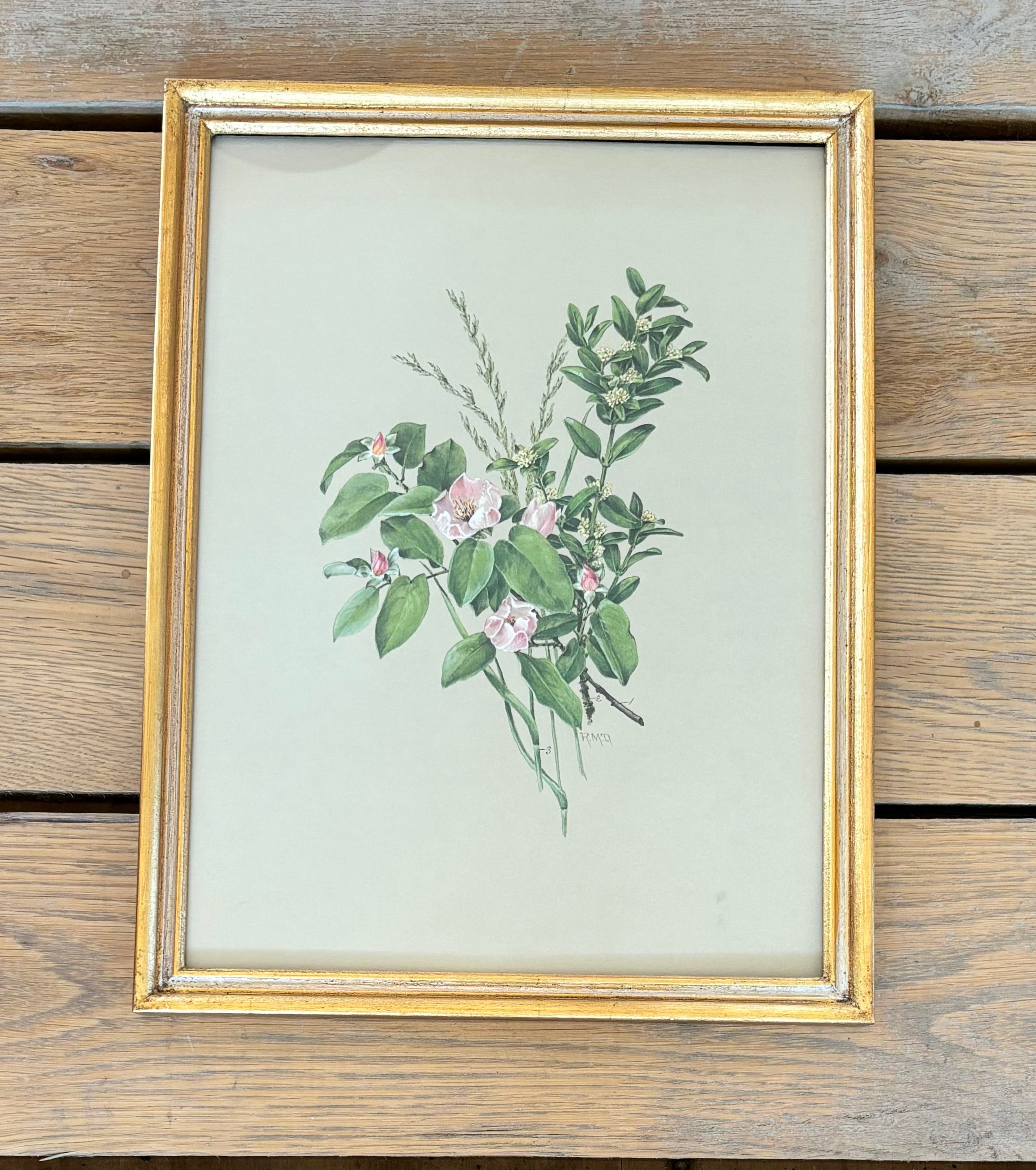 Botanical Floral Print