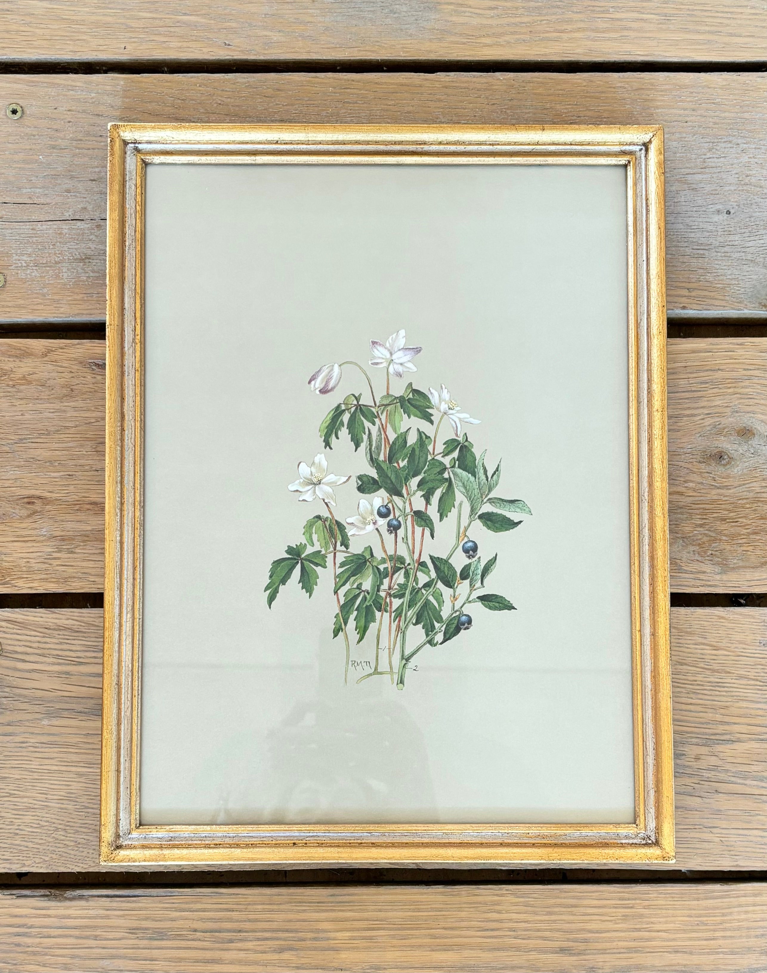 Botanical Floral Print