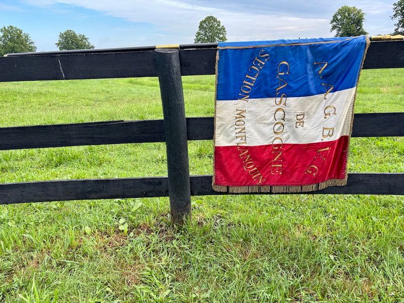 Antique French Flag