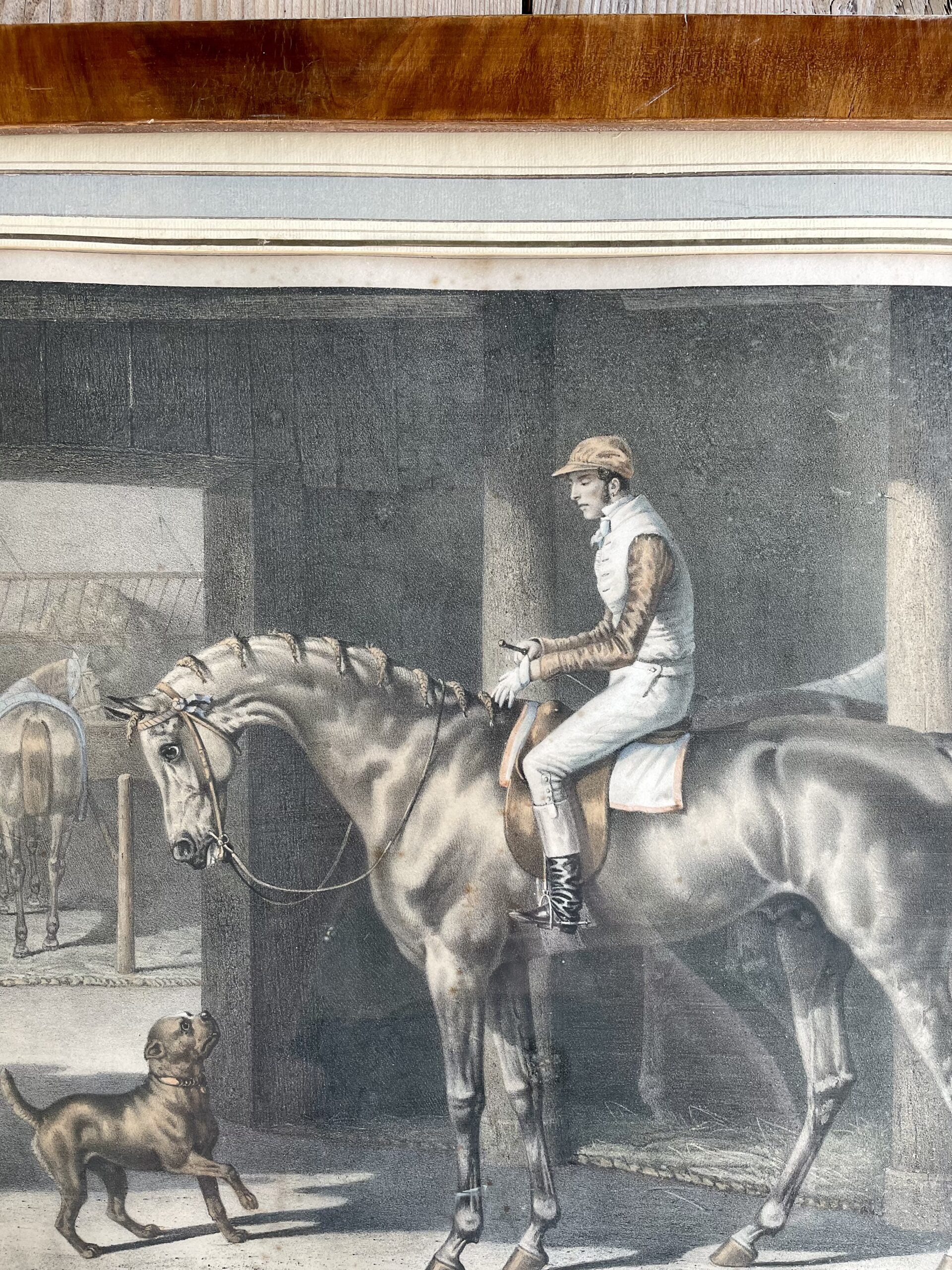 122WDJockeyHorse2