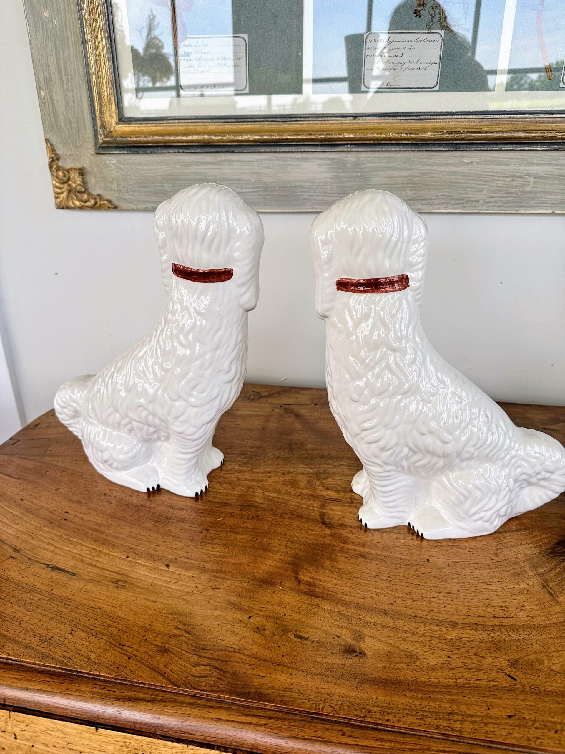 458DOPairDogs4