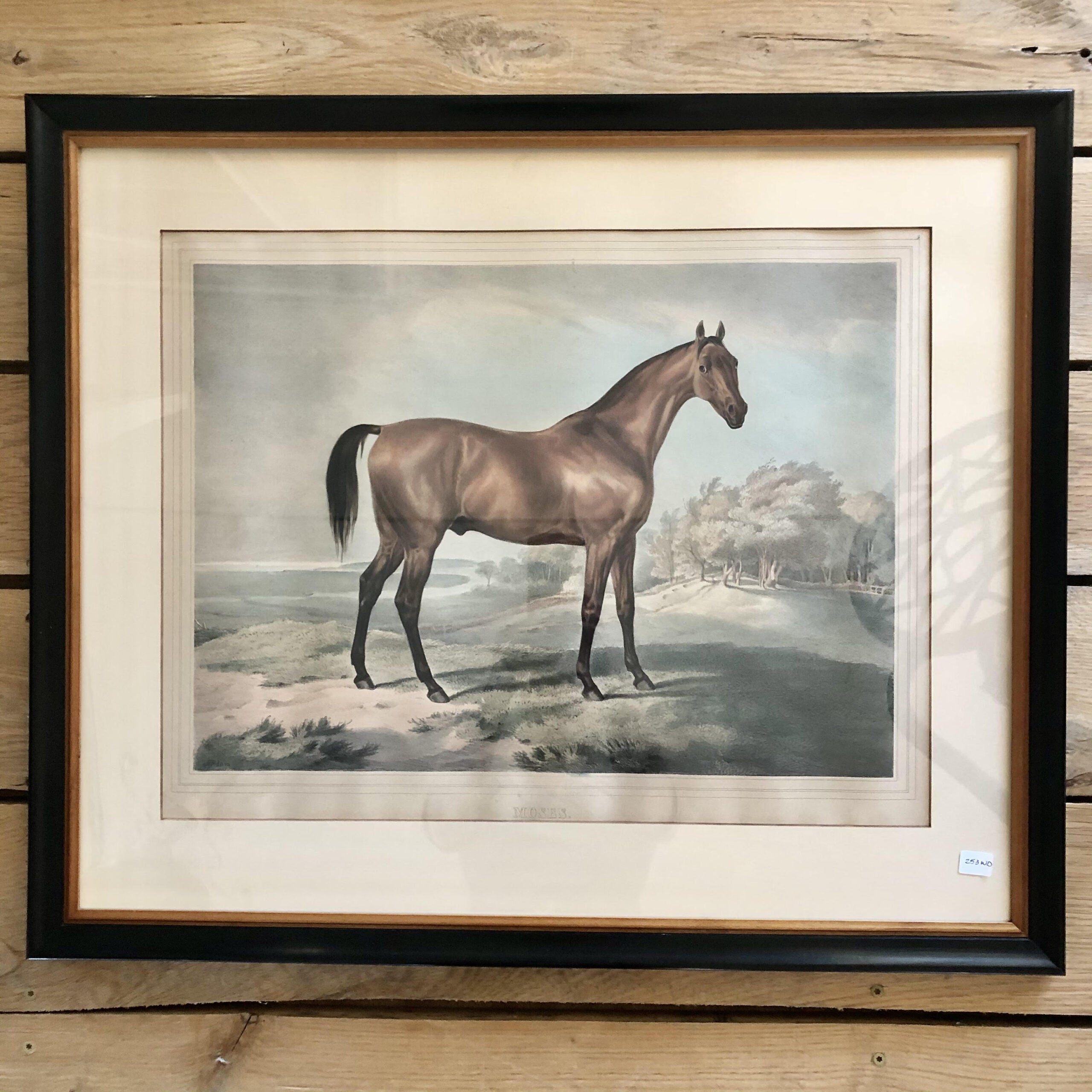 Pair horse 1