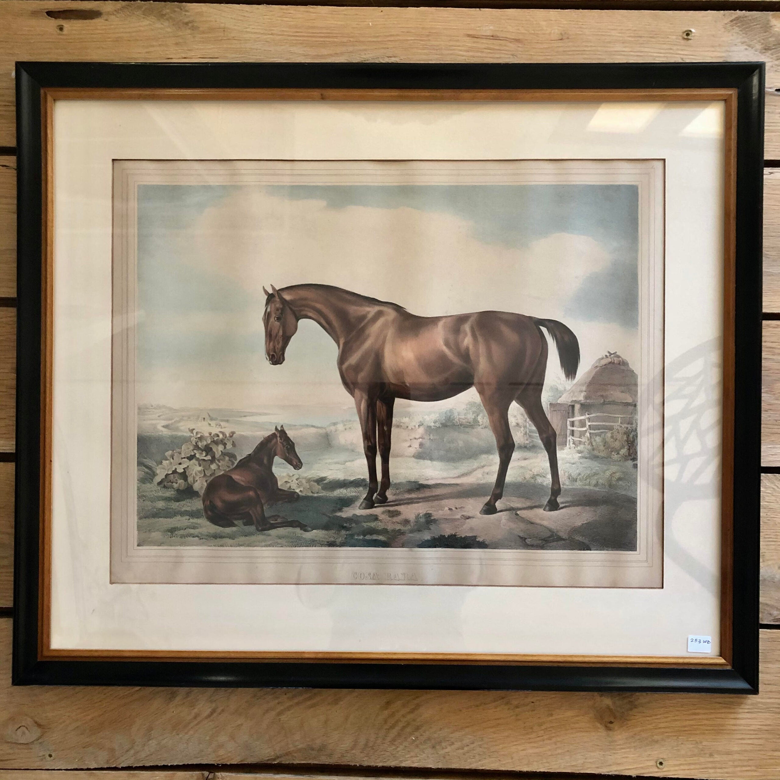 Pair horse 2