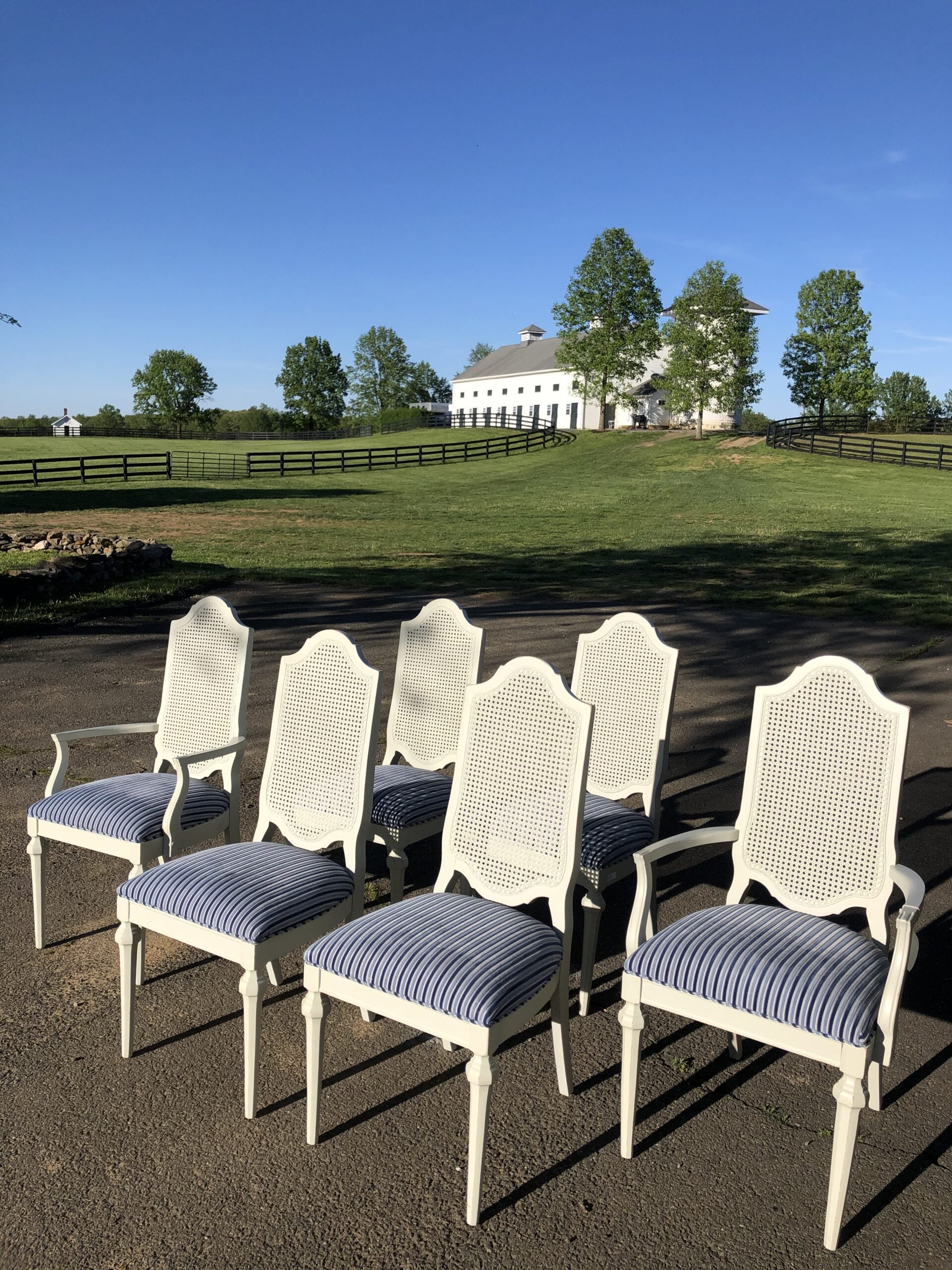 White Dining Chair Set of 6 blue striped seat